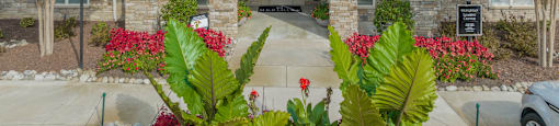 the front of a house with plants and a driveway
