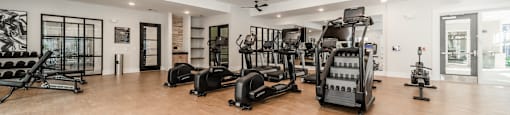 the gym is equipped with cardio equipment and weights
