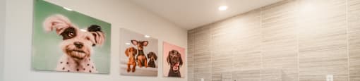 a bathroom with a shower and three pictures of dogs on the wall
