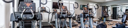 a gym with various cardio machines on the floor and a green rug