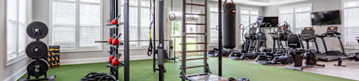 a home gym with weights and equipment on a green rug