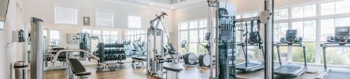 the gym is equipped with weights and cardio equipment at the preserve at great neck apartments