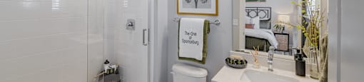 a bathroom with a shower toilet and sink and a mirror