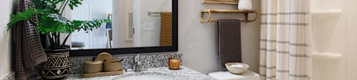 A bathroom with a white toilet, a mirror, and a plant.