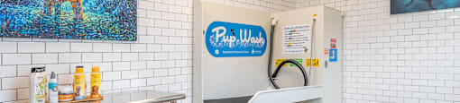 pet spa with washing and drying stations