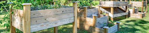 a garden with a wooden fence and plants in it