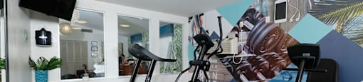Gym at Watermarq luxury Apartments in Lakeland, Fl with three cardio machines, television, and large windows facing leasing office.