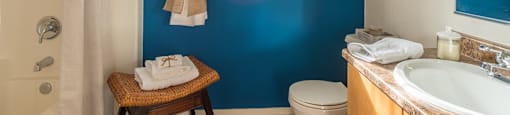 Desert Sands bathroom with small window.
