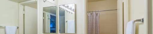 The Springs bathroom with nice vanity sink, and shower tub combo