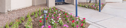 Cantera view of leasing office
