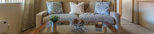 Canyon creek living room with z cozy couch and carpet flooring