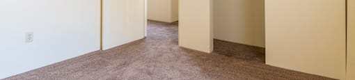 Bedroom with closet and brown carpet