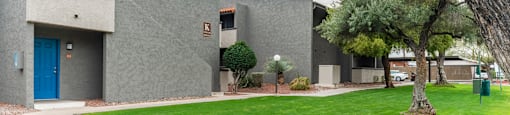 Cottonwood Creek pet friendly grassy area.