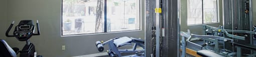A gym with a treadmill, weights, and exercise equipment.
