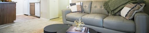 A living room with a grey couch, a coffee table, and a ceiling fan.