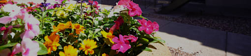A flower bed in front of a building with a staircase.