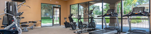 Catalina Canyon fitness center with plenty of equipment.