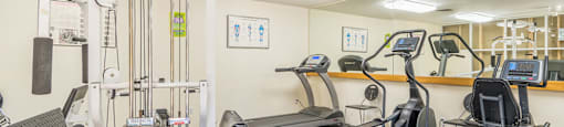 The Springs fitness center with weight stations and fitness equipment