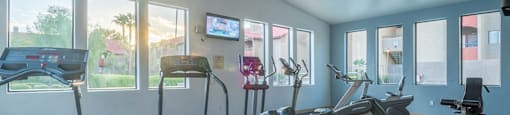 Enclave fitness center with weight stations and fitness equipment