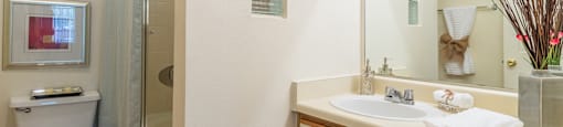 Arboretum bathroom with vanity sink