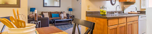Skyline Gateway kitchen includes a dishwasher