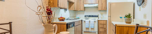 Somerpointe Large Kitchens with plenty of cabinetry and matching appliances
