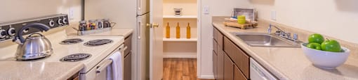 The Springs kitchen view with spacious pantry for food storage