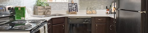 Remodeled Kitchens at La Reserve Villas in Oro Valley AZ