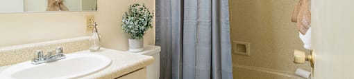 Tanglewood bathroom with vanity sink and shower tub combo