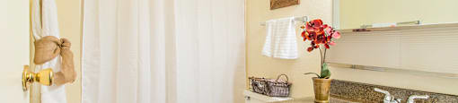 Cottonwood Creek large bathroom with brown cabinetry.