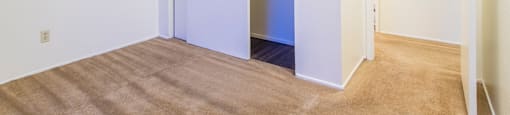 tanglewood bedroom with large spacious closets and carpet flooring