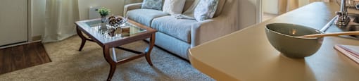 Canyon creek living room with cozy couches and plenty of natural light