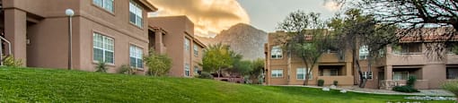 Lush landscape in Oro Valley