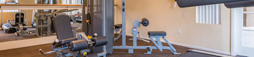 fitness area with Olympic gym equipment machine