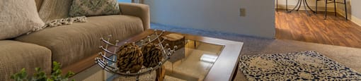 Canyon creek living room with a cozy couch and carpet flooring
