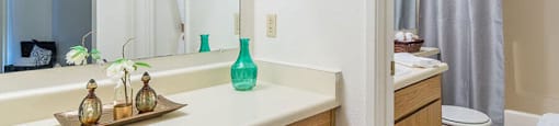 Ridgepointe bathroom with shower tub combo and nice vanity sink