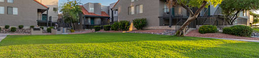 Grass area with tree and buildings with windows