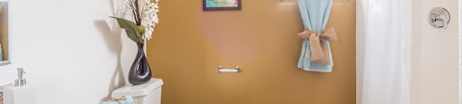 Desert Sands bathroom with shower tub combo.