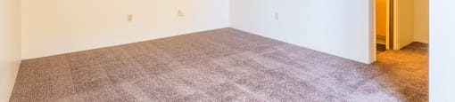 Bedroom with off white walls and brown carpet