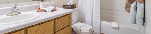 Canyon creek bathroom with shower tub combo and sink