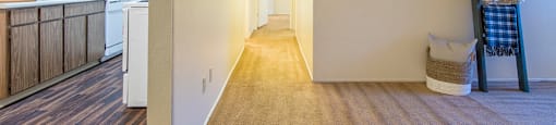 Tanglewood spacious apartments with carpet flooring  and nice lighting