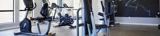 A gym with treadmills, exercise bikes, and a wall mural.