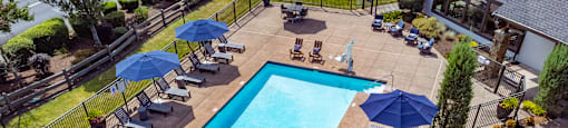 a swimming pool with umbrellas and chairs around it