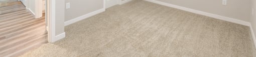 an empty living room with carpet and a door to a hallway