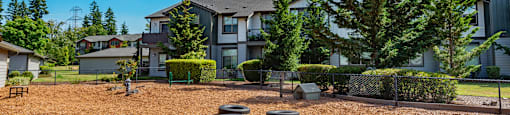 a yard with rocks and trees in front of a building