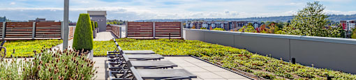 A sunny day at a rooftop with benches and a view of the city.