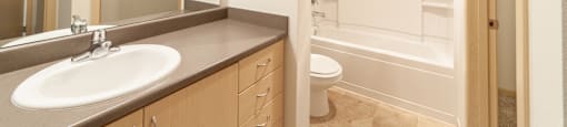 a bathroom with a sink and a toilet
