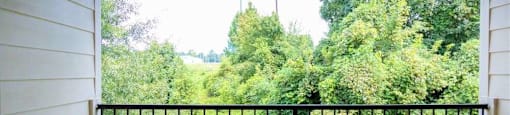 Beautiful and spacious patio/balcony