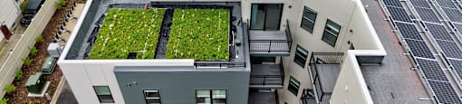 A modern building with a green roof and solar panels on the roof.