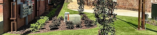 A tree is in the middle of a grassy area in front of a brick building.